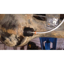 Load image into Gallery viewer, Loft tjakkur